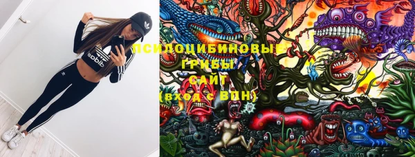спайс Губаха