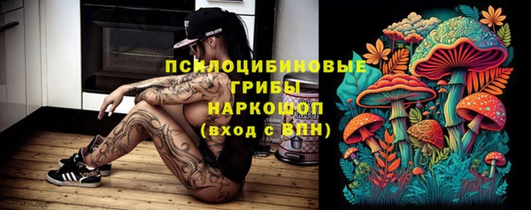 хмурый Грязи
