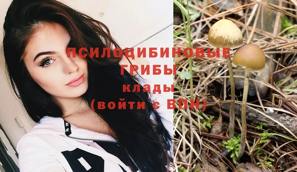 герыч Пестово