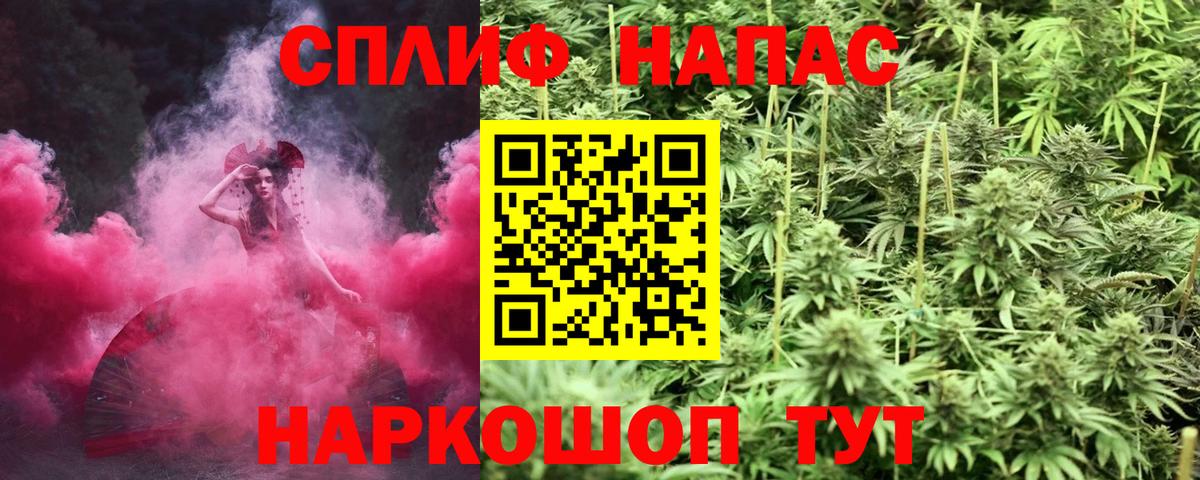 Каннабис план Туймазы